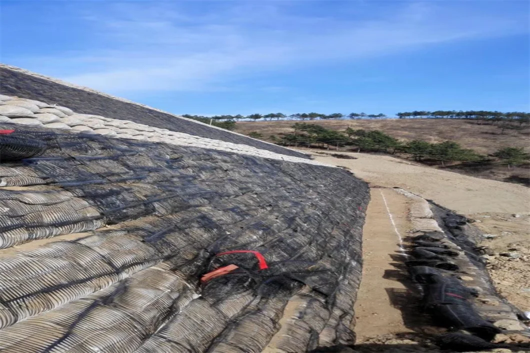 PP PE High Strength Plastic Uniaxial Geogrid for Retaining Wall From China