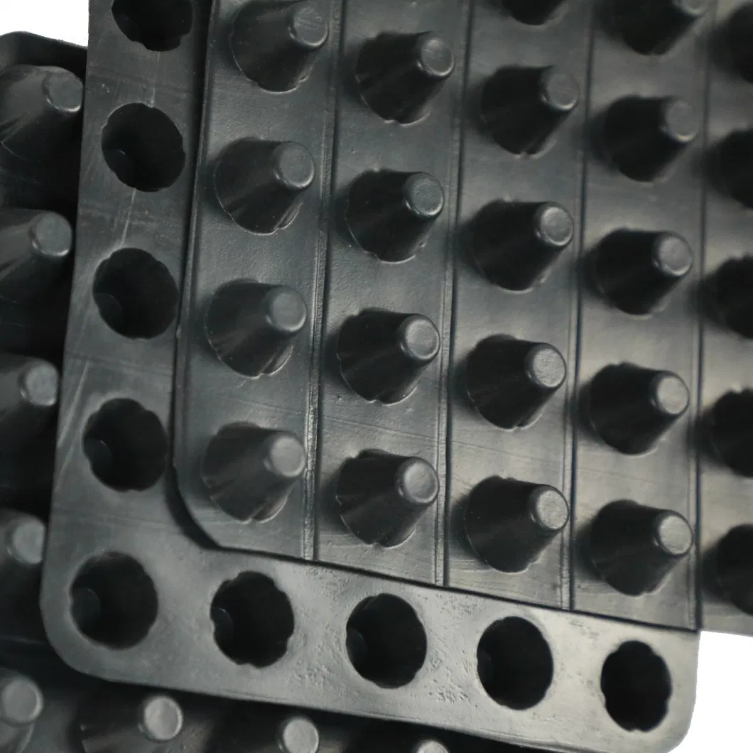 Dimpled Drainage Membrane Greening Project PVC Perforated Dimpled Drainage Board Pengerjaan dasar Solusi air Solusi air 5
