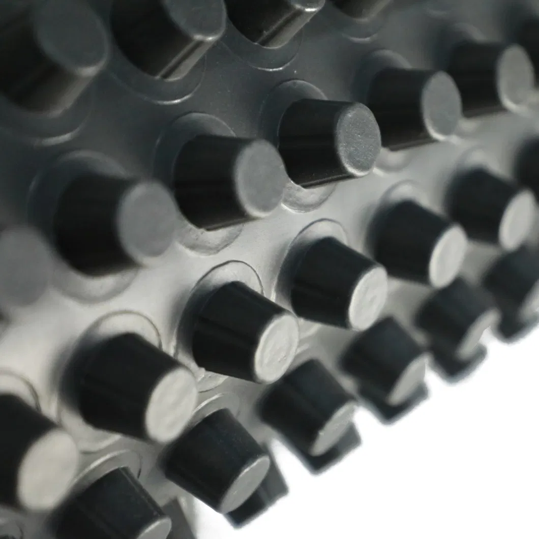 Dimpled Drainage Membrane Greening Project PVC Perforated Dimpled Drainage Board Pengerjaan dasar Solusi air Solusi air 8