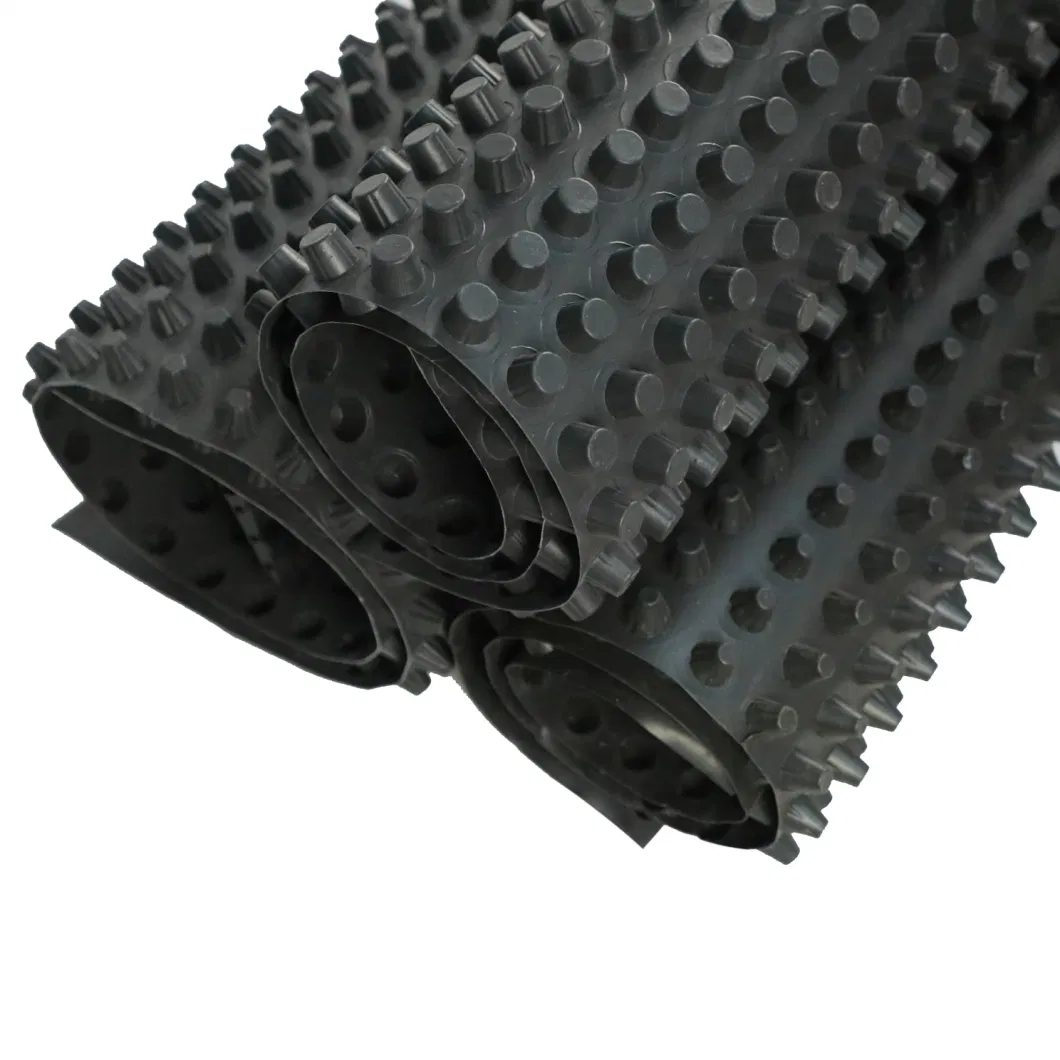 Dimpled Drainage Membrane Greening Project PVC Perforated Dimpled Drainage Board Pengerjaan dasar Solusi air Solusi air 9