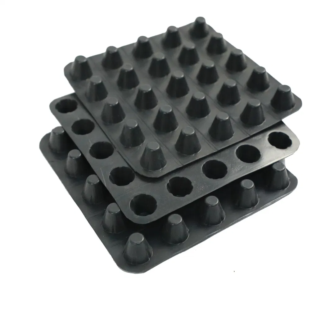 Dimpled Drainage Membrane Greening Project PVC Perforated Dimpled Drainage Board Pengerjaan dasar Solusi air Solusi air 12