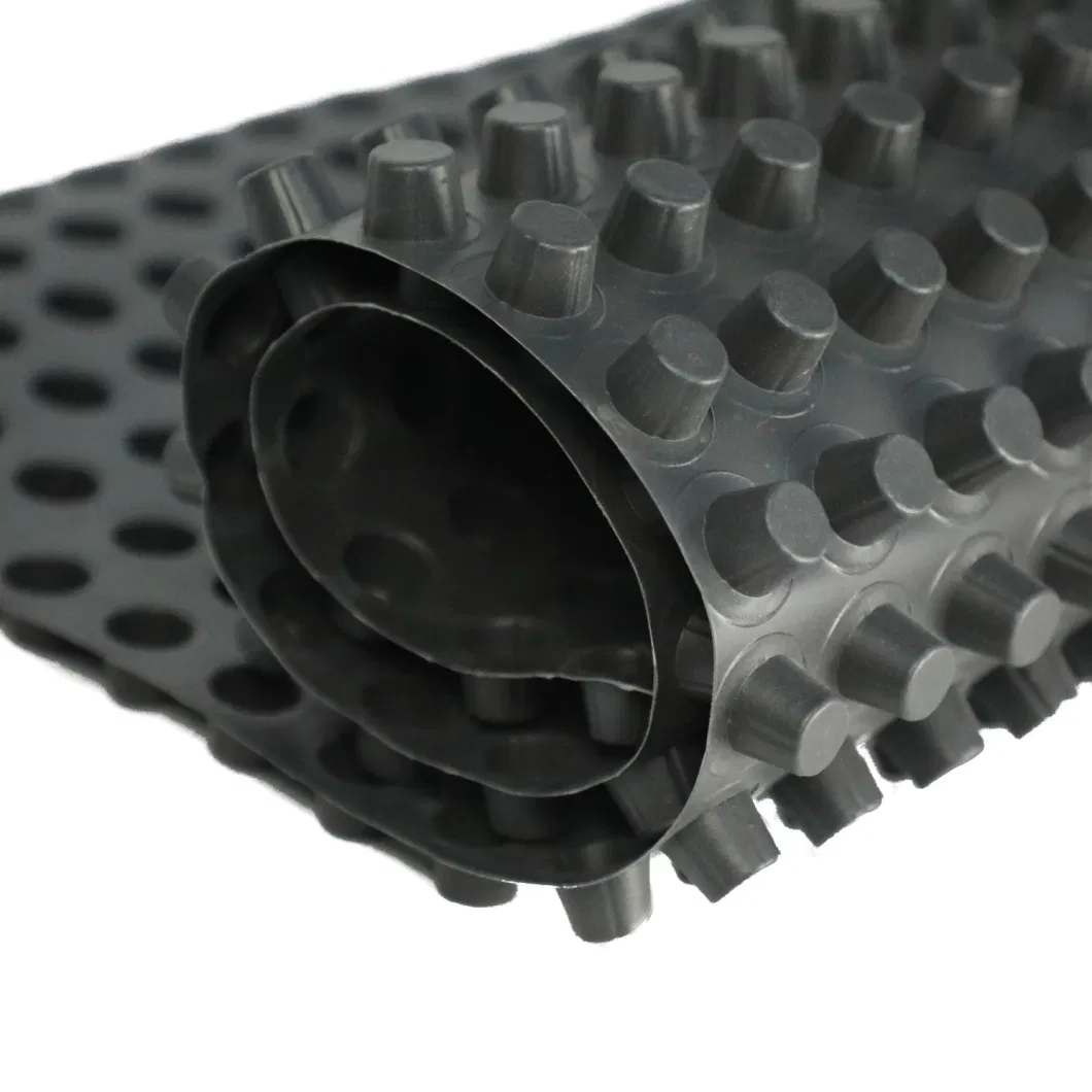 Dimpled Drainage Membrane Greening Project PVC Perforated Dimpled Drainage Board Pengerjaan dasar Solusi air Solusi air 13