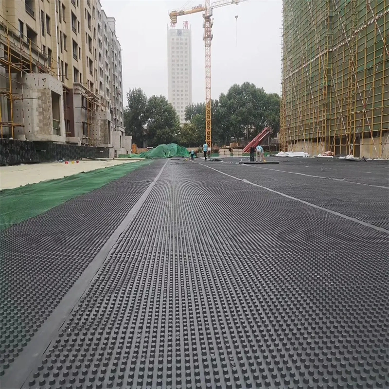 Dimpled Drainage Membrane Greening Project PVC Perforated Dimpled Drainage Board Pengerjaan dasar Solusi air Solusi air 14