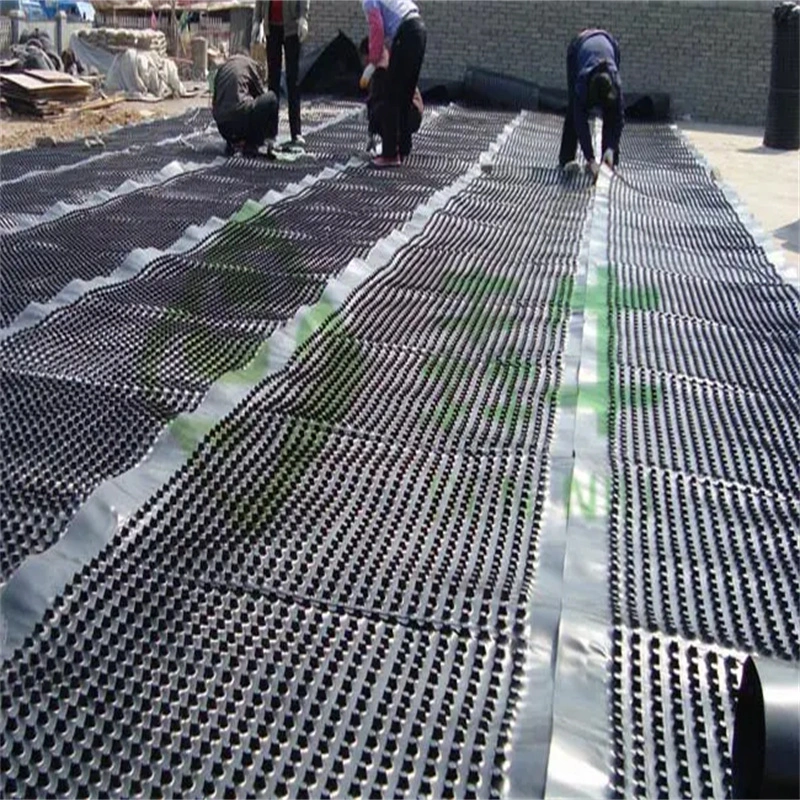 Dimpled Drainage Membrane Greening Project PVC Perforated Dimpled Drainage Board Pengerjaan dasar Solusi air Solusi air 15