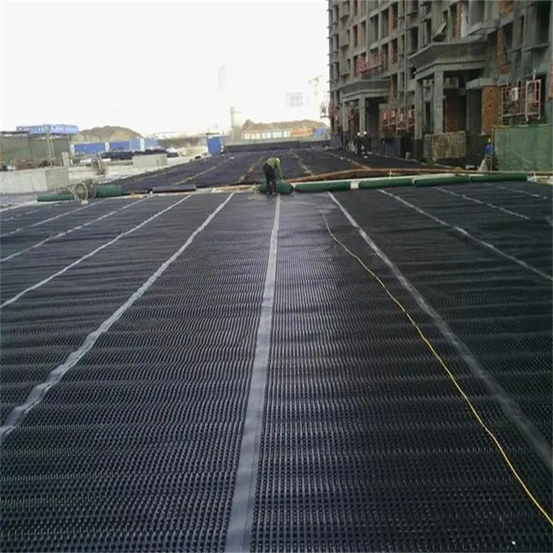 Dimpled Drainage Membrane Greening Project PVC Perforated Dimpled Drainage Board Pengerjaan dasar Solusi air Solusi air 16