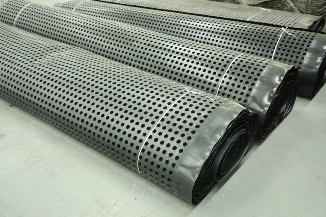 Dimpled Drainage Membrane Greening Project PVC Perforated Dimpled Drainage Board Pengerjaan dasar Solusi air Solusi air 18