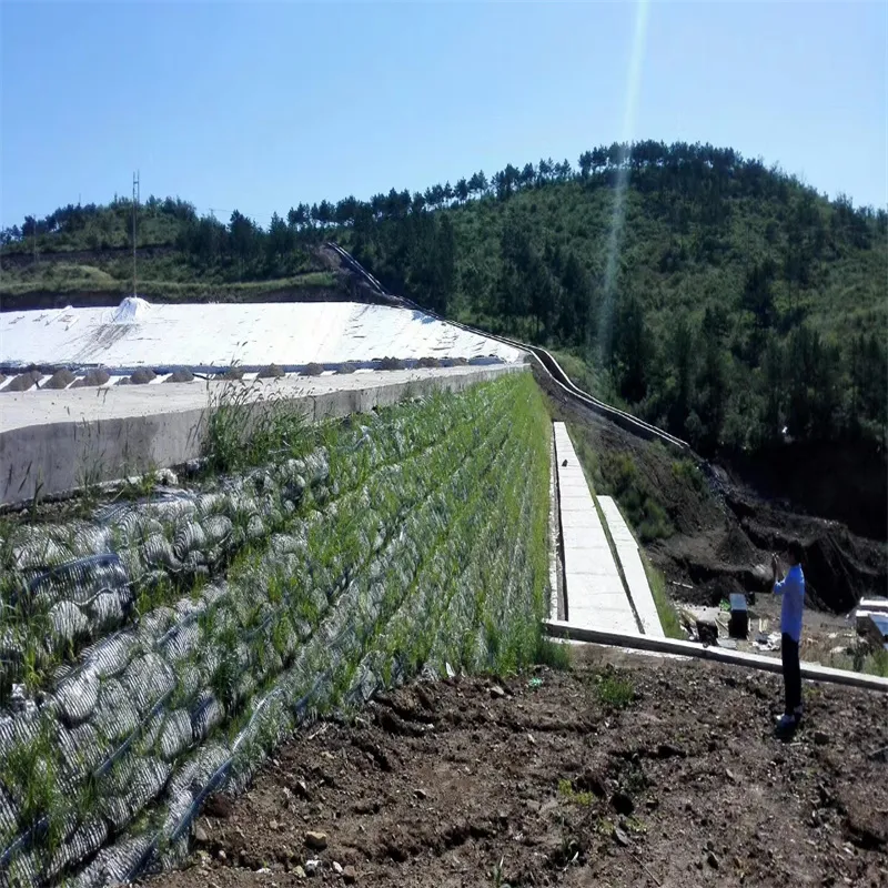 PP Plastik PE One-Way Uniaxial Polyester Geogrid Gravel Grid Stabilizer tanah untuk penguatan tanah 11
