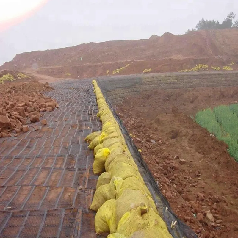 Plastik Polypropylene PE Unidirectional Uniaxial Tensile Plastic Geogrid untuk penguatan jalan 5