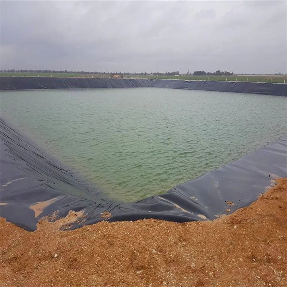 Outdoor Polyethylene Fish Farm Geomembrane Pond Liner HDPE Containment Liner Pond Liner Besar Waterproof Geomembrane Pond Liner 2