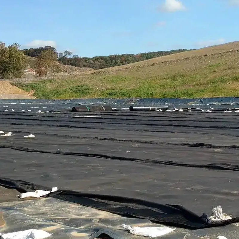 Harga Pabrik 100% Virgin Polyethylene Densitas Tinggi Anti-Seepage Waterproof Smooth Textured HDPE Geomembrane Pond Liner untuk Landfill Mining Dam Air Danau Pond Liner 0