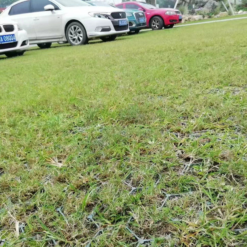 200ton / Sqm Interlocking Turf Plastic Car Parking Grid Untuk Penguatan Tempat Parkir