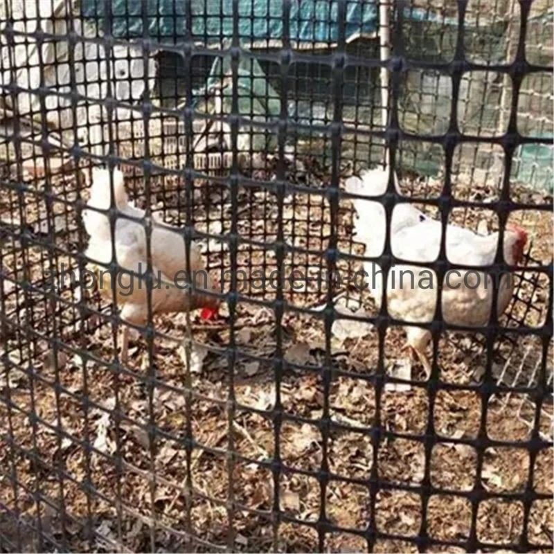 Poliester Geogrid Kekuatan Tinggi Untuk Tanggul Basal Dan Penguatan Dinding Lereng Tanah