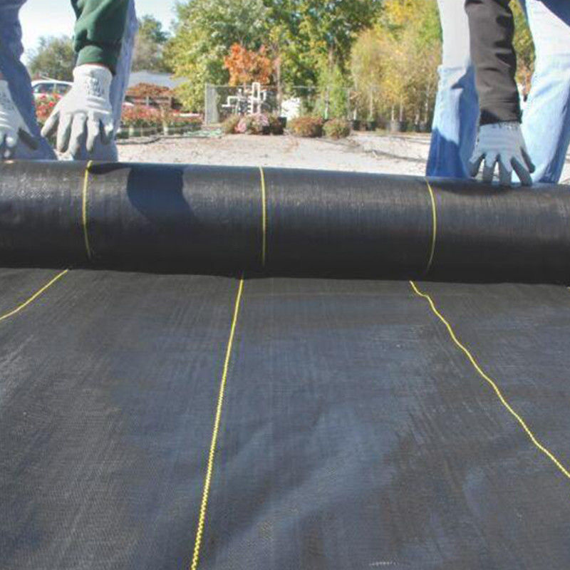 Stabilisasi PP Geotextile Geogrid Woven Fabric Untuk Produk Penguat Tanah