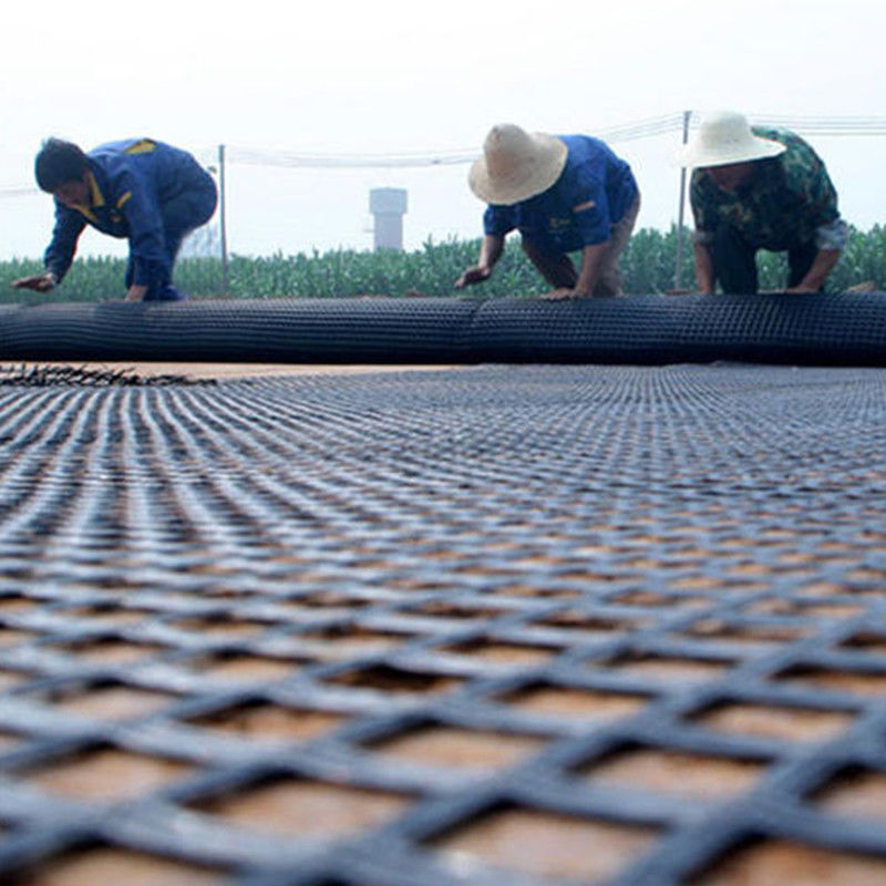 80kn Steel Plastic Geogrid Dengan Ketahanan Asam Dan Alkali Untuk Perlindungan Slope Subgrade