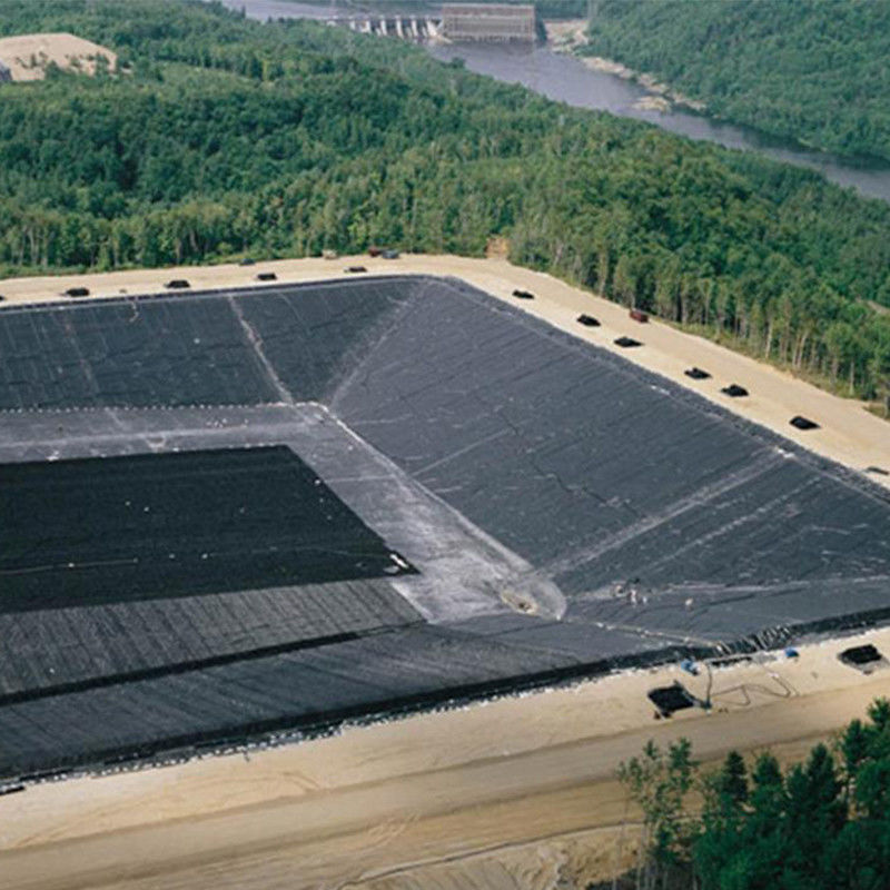 0.3mm/0.5mm/0.75mm/1mm/1.5mm/2mm Black Membrane Plastic Sheet HDPE LDPE LLDPE Virgin Geomembrane Liner untuk Shrimp Fish F