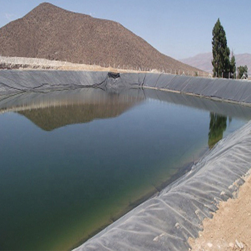 0.3mm/0.5mm/0.75mm/1mm/1.5mm/2mm Black Membrane Plastic Sheet HDPE LDPE LLDPE Virgin Geomembrane Liner untuk Shrimp Fish F