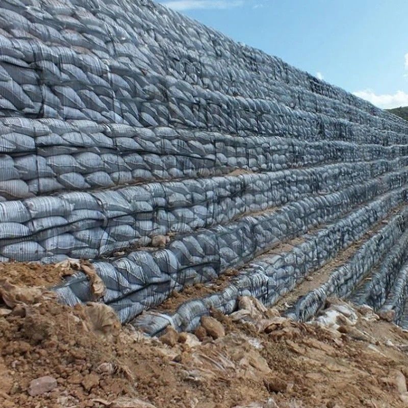 Geo Grid Ground Grid Plastik Uniaxial Polyester Geogrid Uniaxial Gravel Grid Ground Untuk Basement Driveway