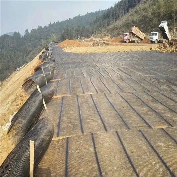 Geo Grid Ground Grid Plastik Uniaxial Polyester Geogrid Uniaxial Gravel Grid Ground Untuk Basement Driveway