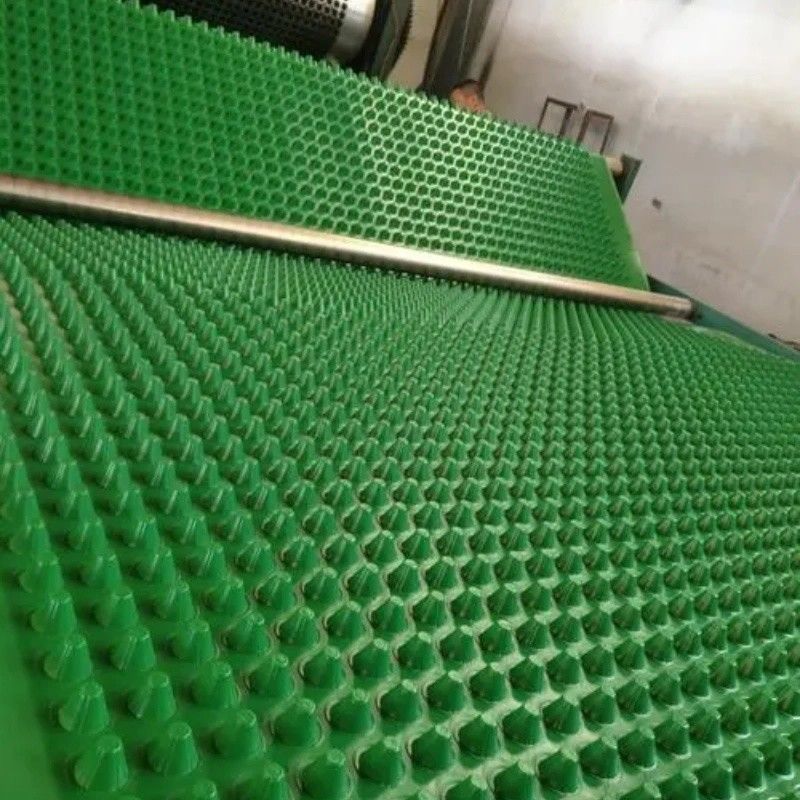 Dimpled Drainage Membrane Greening Project PVC Perforated Dimpled Drainage Board Pengerjaan dasar Solusi air Solusi air