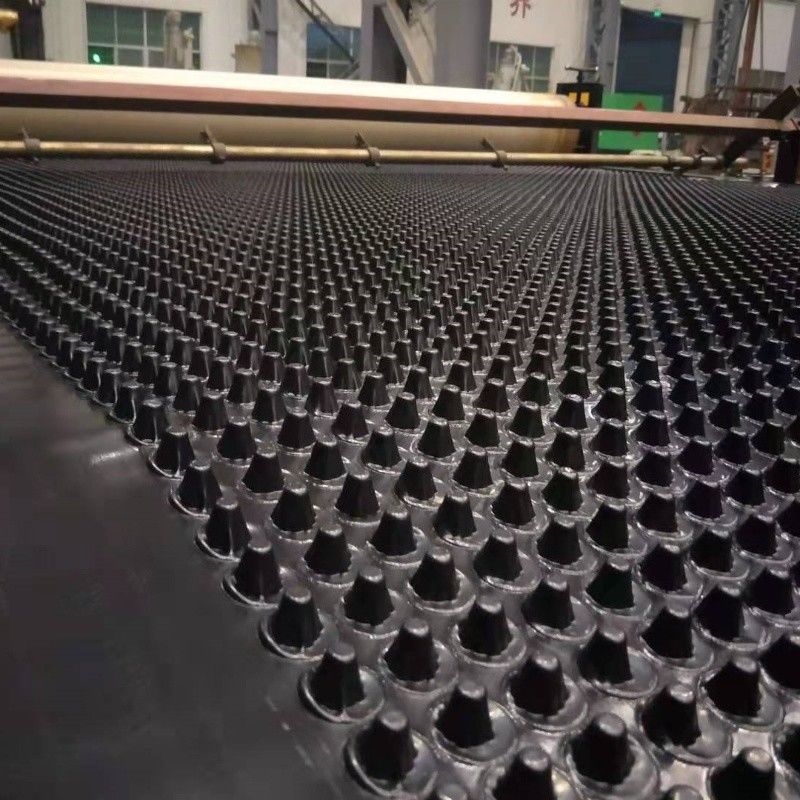 Dimpled Drainage Membrane Greening Project PVC Perforated Dimpled Drainage Board Pengerjaan dasar Solusi air Solusi air