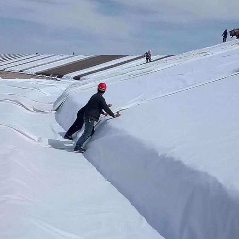 Putih Hitam Non-Woven Jarum Punched Geotextile PET PP Untuk Jalan Raya Highway Railway