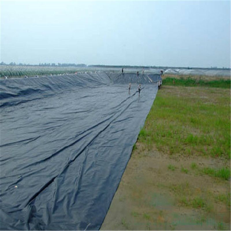 HDPE High Definition Polyethylene Liner Gaya Desain Industri untuk Tanaman Ikan dan Udang Balck Waterproof