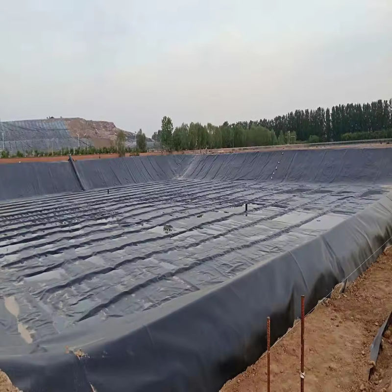 HDPE LDPE LLDPE PVC Geomembranes Liner kolam untuk kolam ikan dan udang & Liner kolam poliethelin diperkuat