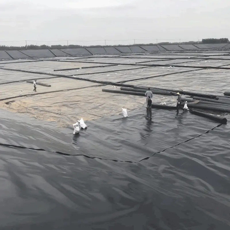Liner Kolam Geomembran HDPE Hitam Berkualitas Tinggi 0,5mm–2,0mm untuk Budidaya Ikan, Kolam Budidaya, Waduk Penyimpanan Air, dan Tahan Air Bendungan