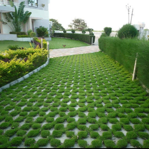 Kisi-kisi Rumput Plastik untuk Tempat Parkir, Pintu Keluar Kebakaran, HDPE Pavers, Geogrid untuk Lansekap, Geocell Tanah, Kisi-kisi Padang Rumput Kerikil