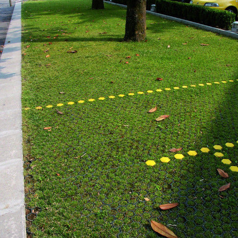 Kisi-kisi Rumput Plastik untuk Tempat Parkir, Pintu Keluar Kebakaran, HDPE Pavers, Geogrid untuk Lansekap, Geocell Tanah, Kisi-kisi Padang Rumput Kerikil