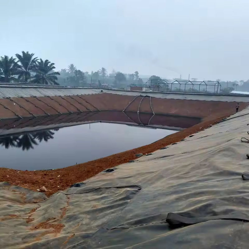 Pelapis Kolam Geomembran 0.5mm 1mm 1.5mm 2mm HDPE LDPE Lldpe PVC EVA Geomembran Pelapis Kolam