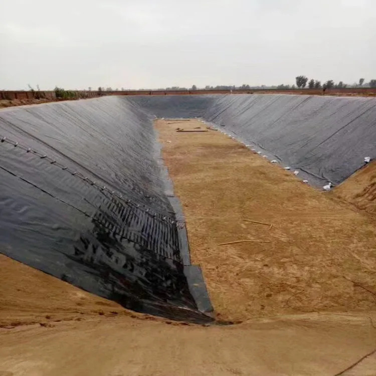 Lapisan Geomembran HDPE untuk Aplikasi Akuakultur, Peternakan Ikan, Kolam, Bendungan, Kolam Renang, dan Penampungan Air