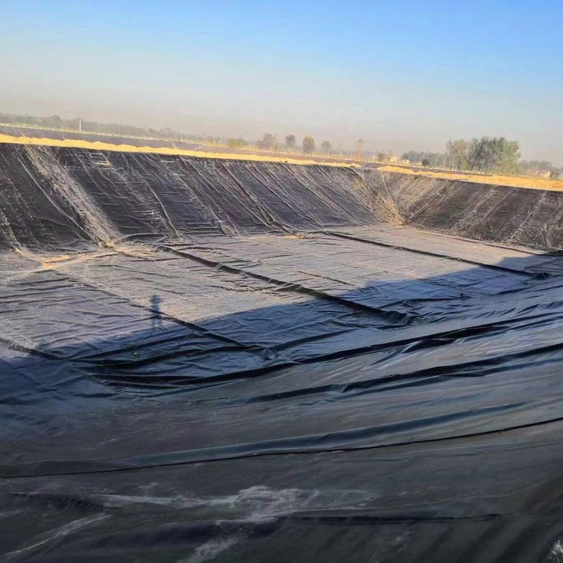 Lapisan Geomembran HDPE untuk Aplikasi Akuakultur, Peternakan Ikan, Kolam, Bendungan, Kolam Renang, dan Penampungan Air
