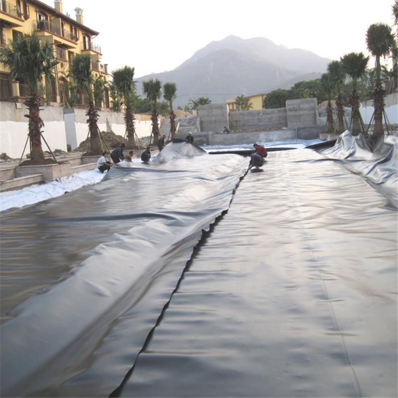 Hard Black Liner Hdpe Waterproof Pond Liner Geomembrane Polyethylene Harga Pabrik untuk Dijual