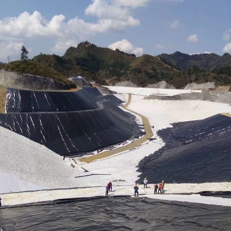 Hard Black Liner Hdpe Waterproof Pond Liner Geomembrane Polyethylene Harga Pabrik untuk Dijual
