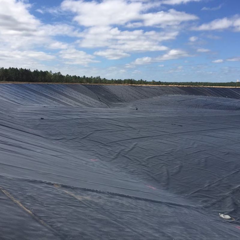 Hard Black Liner Hdpe Waterproof Pond Liner Geomembrane Polyethylene Harga Pabrik untuk Dijual