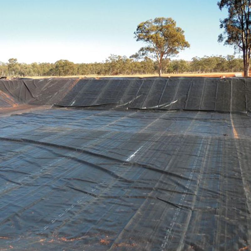 Hard Black Liner Hdpe Waterproof Pond Liner Geomembrane Polyethylene Harga Pabrik untuk Dijual