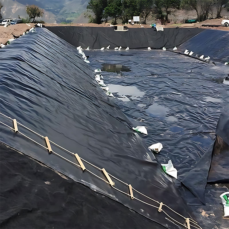 0.3mm/0.4mm/0.6mm/0.75mm/1mm/1.4mm/1.5mm 20mil 30mil 40mil HDPE Geomembrane Pond Liner / Geomembrane Produsen Pabrik Distributor Harga