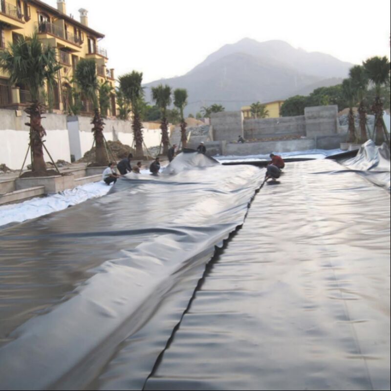 Produksi air Pertanian Tambang Pertanian Tempat pembuangan sampah Kolam ikan HDPE Geomembrane dilapisi film plastik